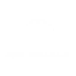 Rede Mais Família